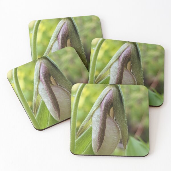 Item preview, Lovely Lady designed and sold by Meaghan Wanders photography.