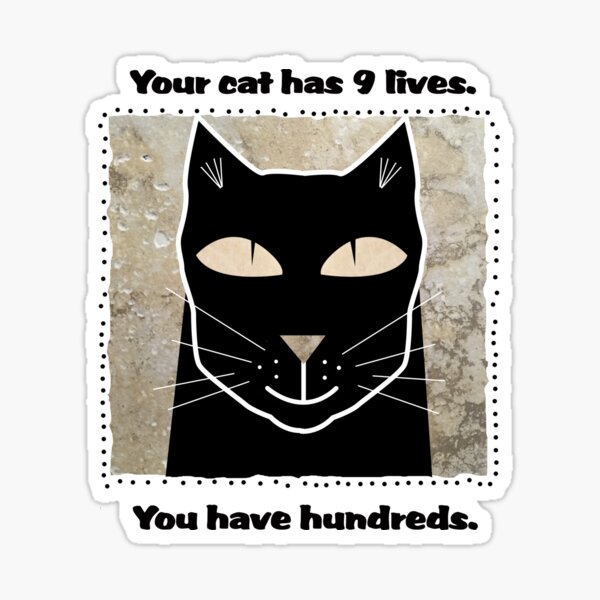 Your Cat Has 9 Lives Sticker