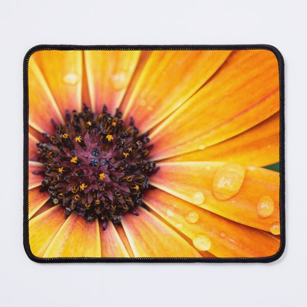 Item preview, Golden Daisy designed and sold by Tanya C Smith.