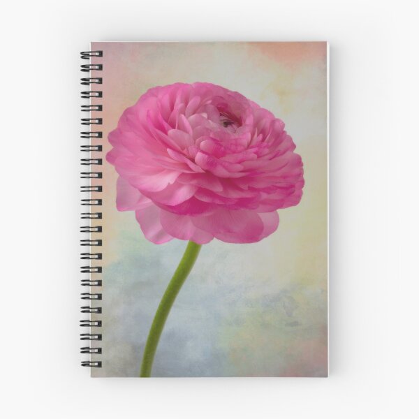 Item preview, Soft pink Textured Ranunculus designed and sold by Garry Gay.