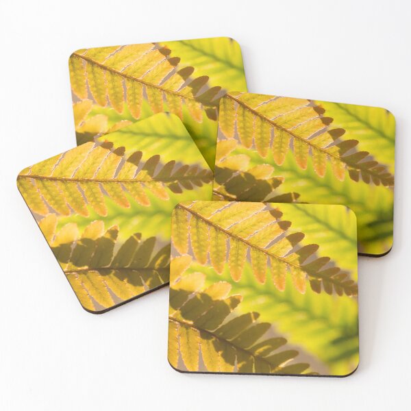 Item preview, Autumn Fern Leaves Backlit by the Setting Sun designed and sold by vryandesigns.