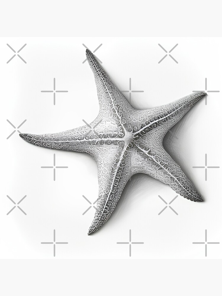 Starfish art drawing  ellewills on Instagram  Starfish drawing Starfish  tattoo Starfish art