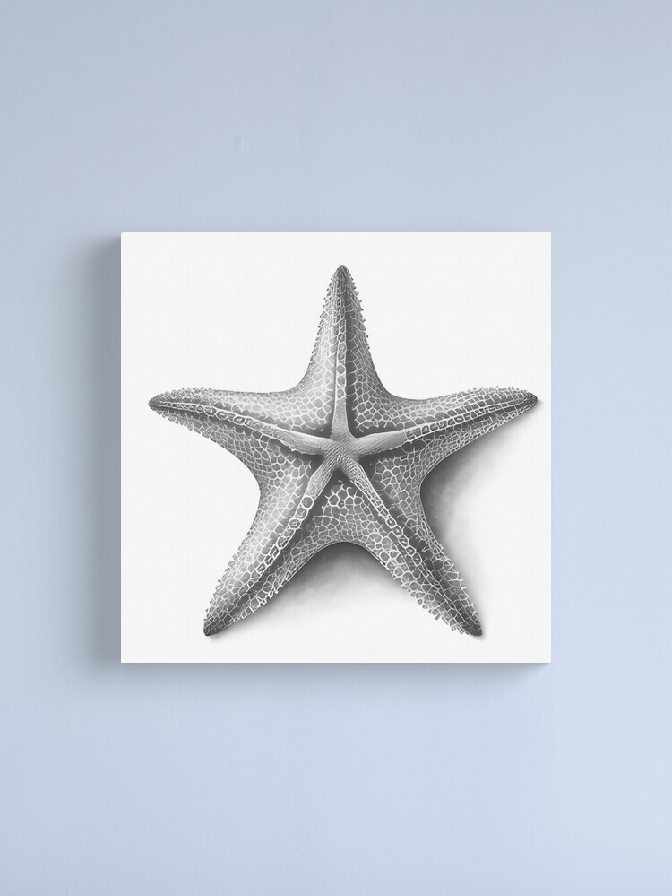 Starfish Nature Ocean Aquatic Underwater Vector Stock Vector (Royalty Free)  684096721 | Shutterstock