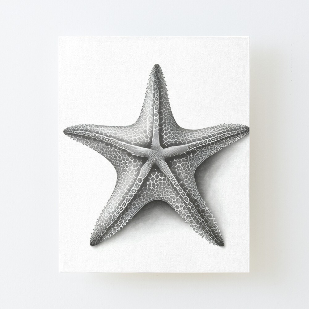 Illustration of a starfish For sale as Framed Prints, Photos, Wall Art and  Photo Gifts