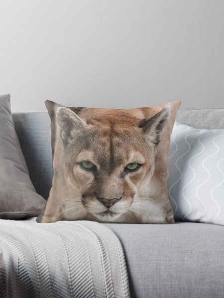 Item preview, Cougar designed and sold by Alison Meyer.