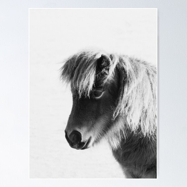 Item preview, Shetland pony designed and sold by Margriet Verkuijlen.