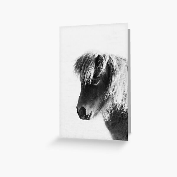 Item preview, Shetland pony designed and sold by Margriet Verkuijlen.