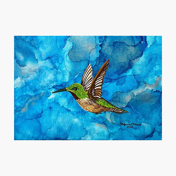 Item preview, Hummingbird  designed and sold by Stefania Pellegrino Etreni ArtDesigns.