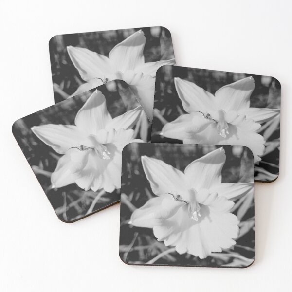 Item preview, Spider sitting on flower designed and sold by LA-Teague.