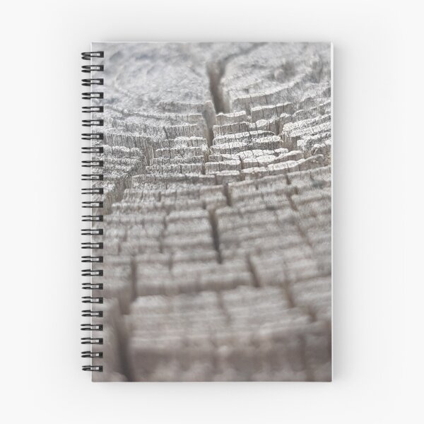 Item preview, Wood designed and sold by Emma  Amies.