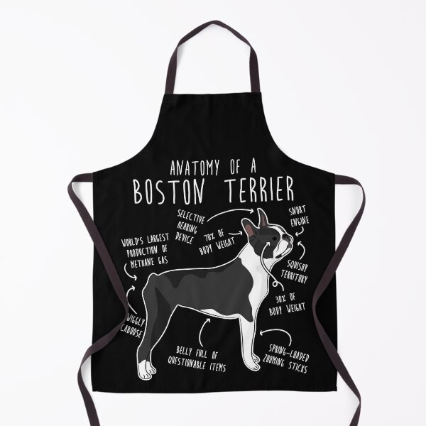 Item preview, Boston Terrier Dog Anatomy designed and sold by Clara Hollins.