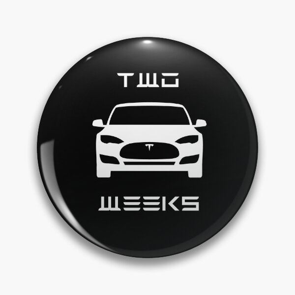 Item preview, Two Weeks  -  Elon Musk Joke  - Sedan Electric Car designed and sold by WigOutlet.