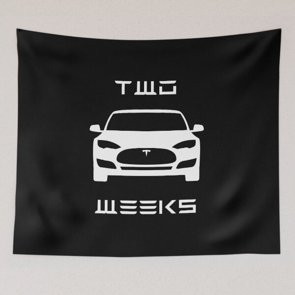 Item preview, Two Weeks  -  Elon Musk Joke  - Sedan Electric Car designed and sold by WigOutlet.