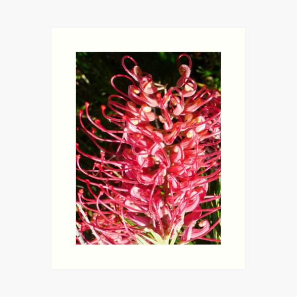 Reaching Art Print
