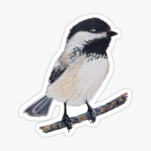 Item preview, Chickadee Drawing 2 designed and sold by Emily Bickell.