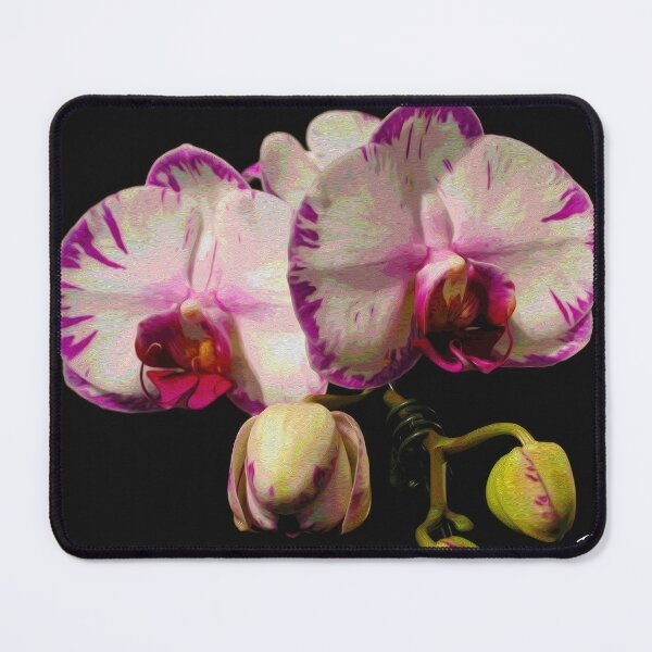 Item preview, BUDDING ORCHIDS designed and sold by ArtbyRolleen.