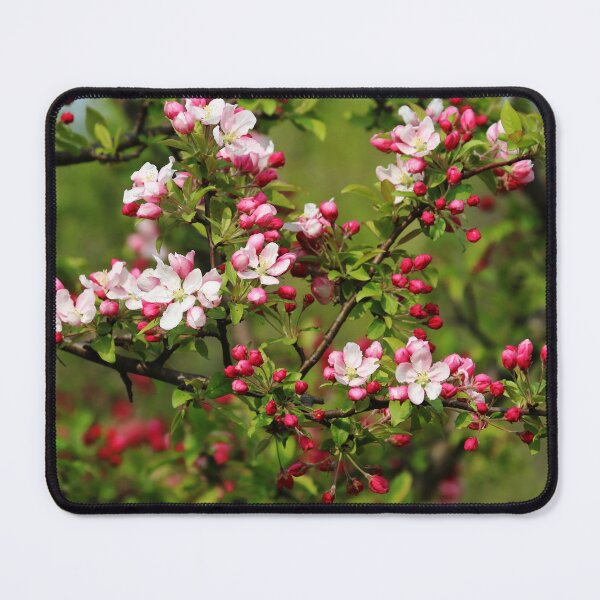 Item preview, Blossoms In Pink designed and sold by Deb Oppermann.