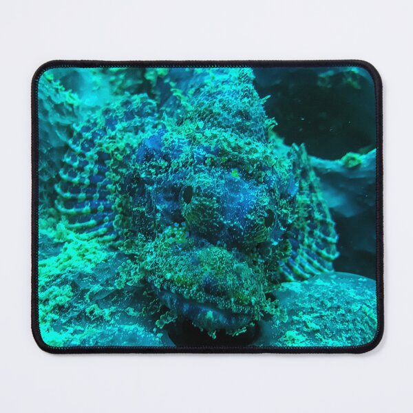 Item preview, Scorpionfish designed and sold by likbatonboot.