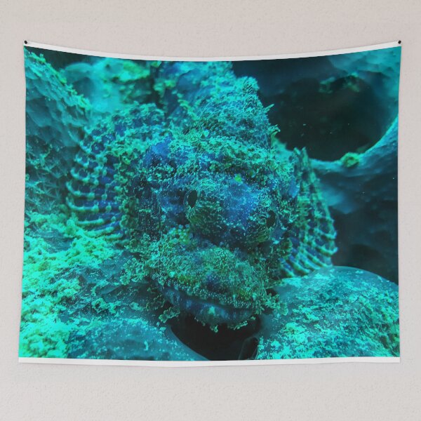 Item preview, Scorpionfish designed and sold by likbatonboot.