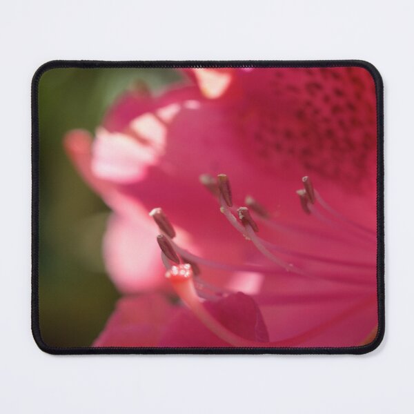 Item preview, Pink Flower designed and sold by D-GaP.