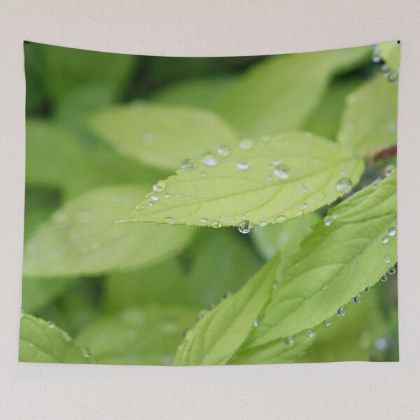 Item preview, Tender green leaves with raindrops designed and sold by karavelikov.