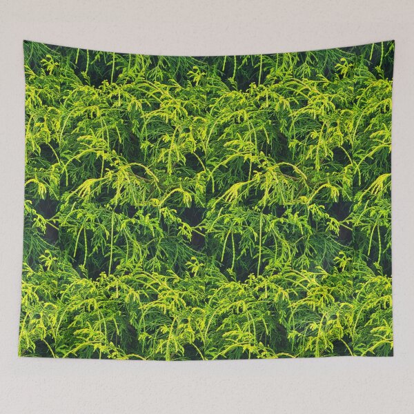 Item preview, All Seasons Forever Evergreen  designed and sold by Ediebxgood.