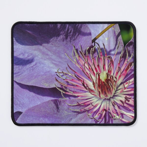 Item preview, Worth the yard work designed and sold by TeraFujan.