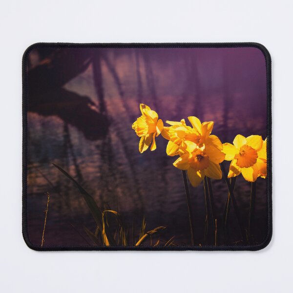 Item preview, Spring Down By The River designed and sold by Jim Love.