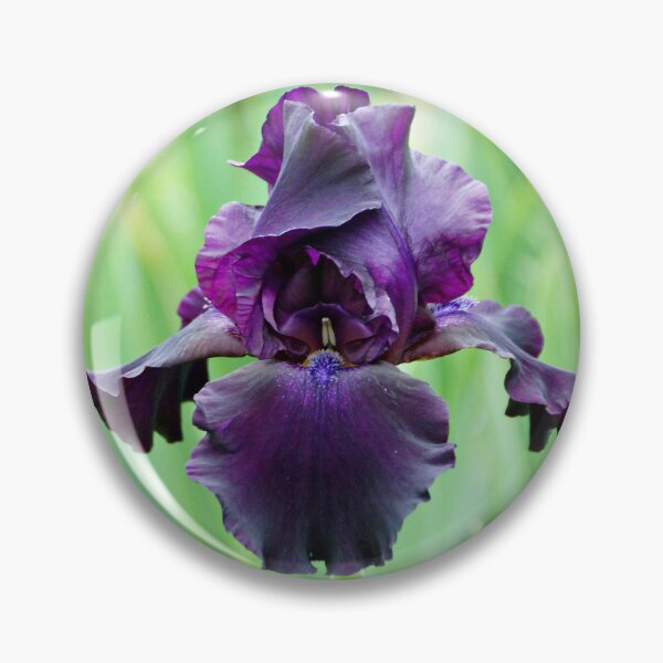 Item preview, Dark Purple Iris designed and sold by Sandy Keeton.