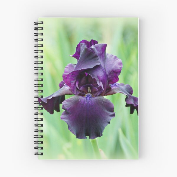 Item preview, Dark Purple Iris designed and sold by Sandy Keeton.