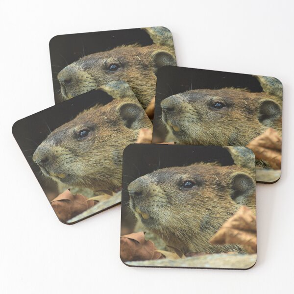 Item preview, Hog of the Ground designed and sold by WWbugsandslugs.