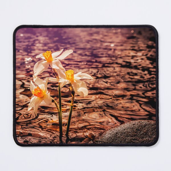 Item preview, Daffodils Water And Stone designed and sold by Jim Love.