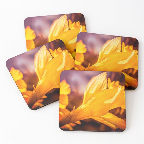 Item preview, Big Spring Beauty designed and sold by Jim Love.