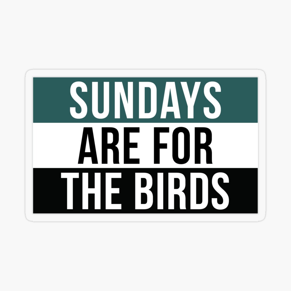 SUNDAYS ARE FOR THE BIRDS (EAGLES) | Art Board Print