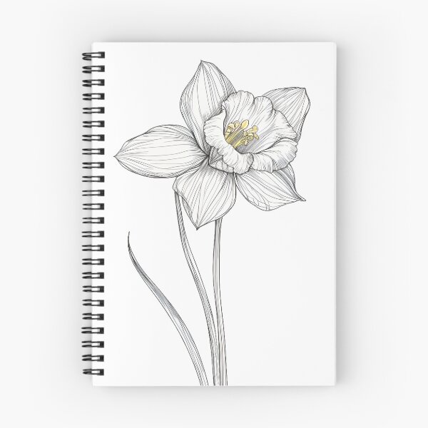 Item preview, Elegant Daffodil Art Line Sketch designed and sold by StickeryPickery.