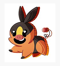Tepig. Photographic Print