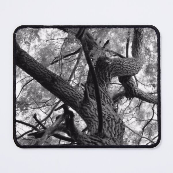 Item preview, Weeping Willow in Black and White designed and sold by kristimb.