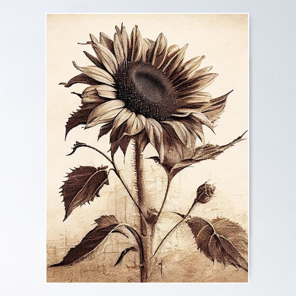 Item preview, Vintage Sunflower Charcoal Drawing designed and sold by OldSoulPrints.