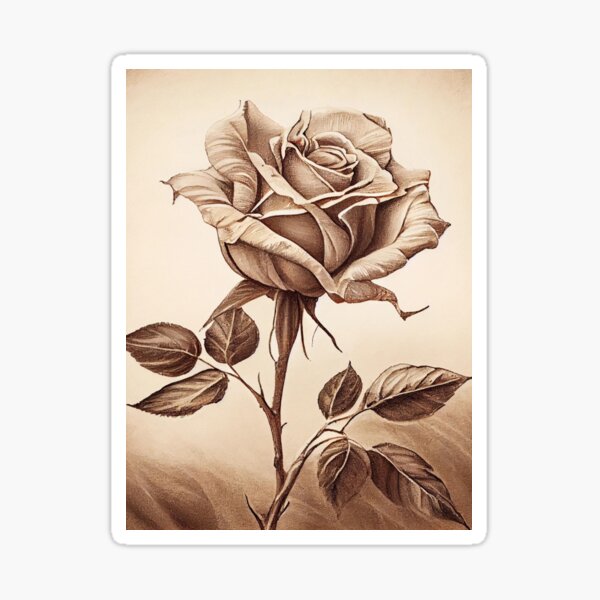 Vintage Rose Drawing Sticker