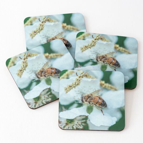 Item preview, Even Broken We Survive I Bee Wing Photography designed and sold by KEnzPhotography.