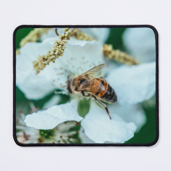 Item preview, Even Broken We Survive I Bee Wing Photography designed and sold by KEnzPhotography.