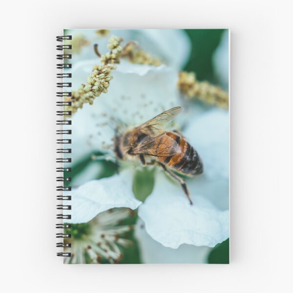 Item preview, Even Broken We Survive I Bee Wing Photography designed and sold by KEnzPhotography.