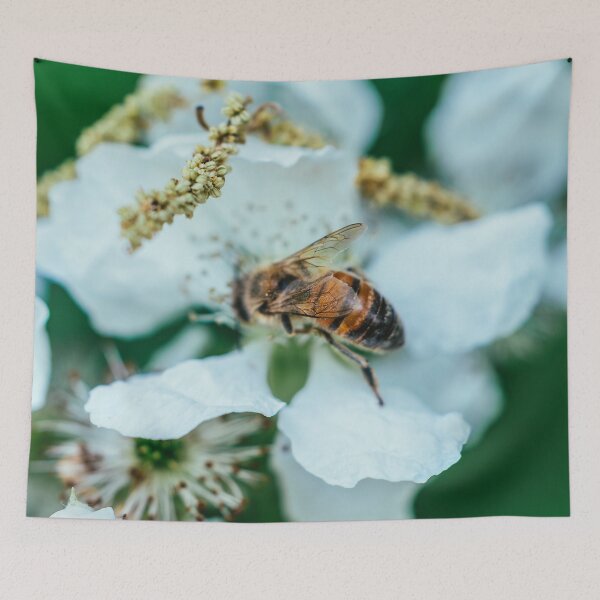 Item preview, Even Broken We Survive I Bee Wing Photography designed and sold by KEnzPhotography.