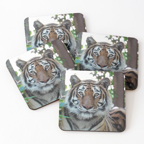 Item preview, Majestic Tiger posing for the Camera designed and sold by CartersDen.