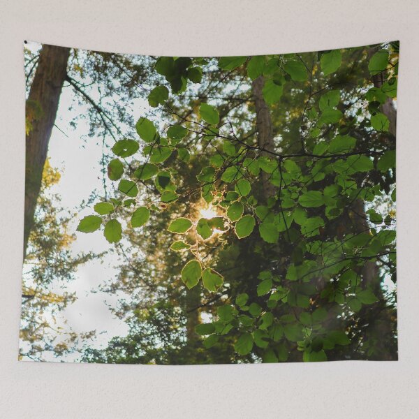 Item preview, Backlit leaves  designed and sold by Jake Larkin.