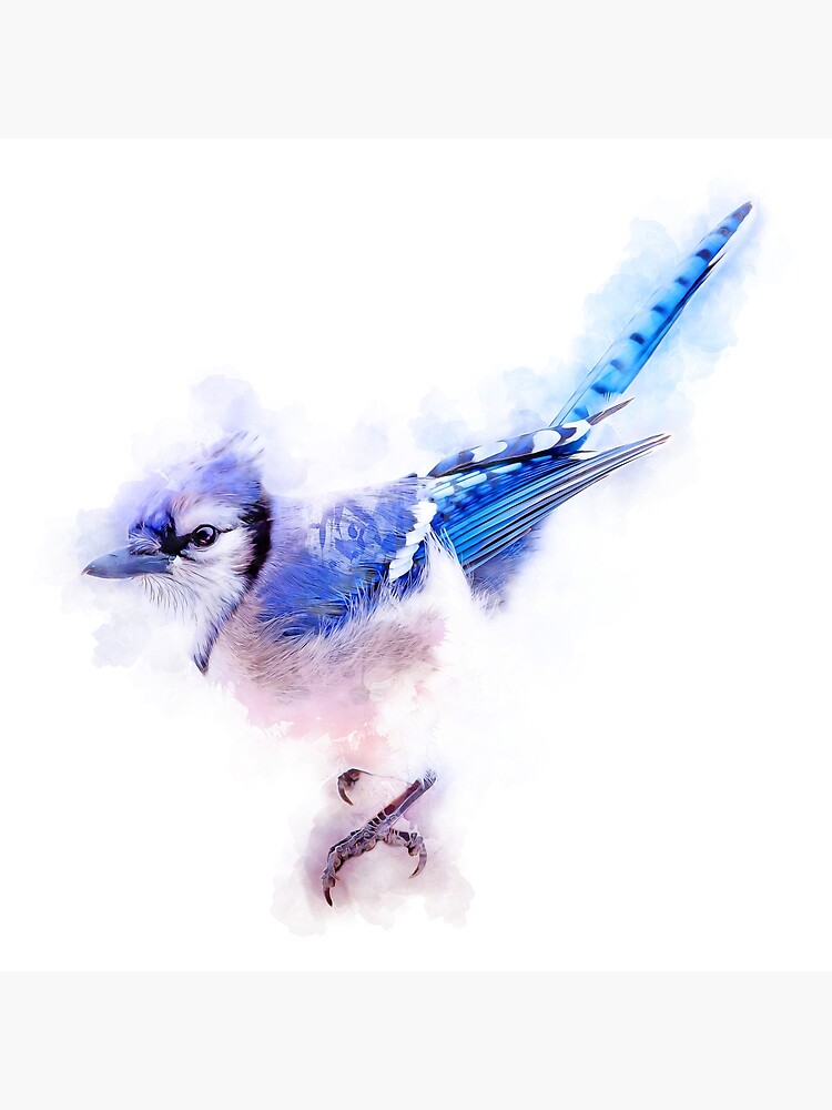 Black and White Blue Jay Sticker for Sale by Pencil-Art