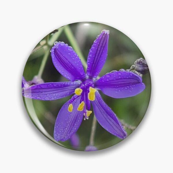 Item preview, Blue Lily Discover the Beauty of Agapanthus Online designed and sold by Banna Baber.