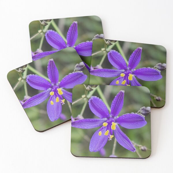 Item preview, Blue Lily Discover the Beauty of Agapanthus Online designed and sold by Banna Baber.
