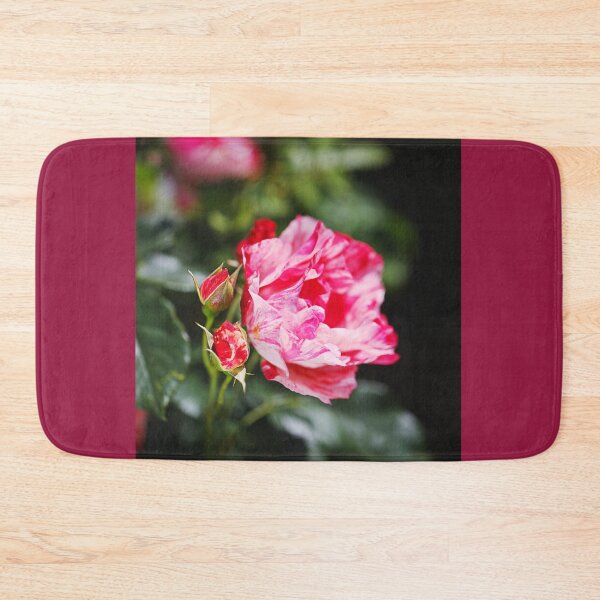 Item preview, Gorgeous Variegated Pink Rose By  designed and sold by Joy Watson - Natural Light Photography .