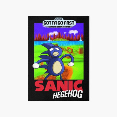 Sanic the Hegehog the Boxart Art Board Print
